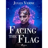 Facing the Flag - E-kniha