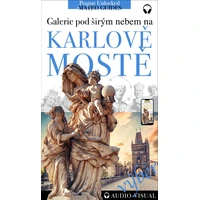 Kdo je kdo na Karlově mostě - 10 nejúžasnějších sousoší - E-kniha