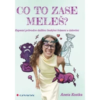 Co to zase meleš? - E-kniha