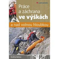 Práce a záchrana ve výškách a nad volnou hloubkou - E-kniha