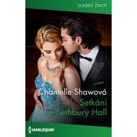 Setkání v Sethbury Hall - E-kniha