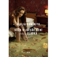 Voda v jezeře není nikdy sladká - E-kniha
