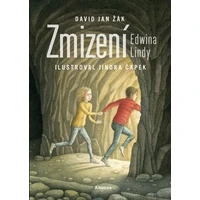 Zmizení Edwina Lindy - E-kniha