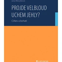 Projde velbloud uchem jehly? - E-kniha