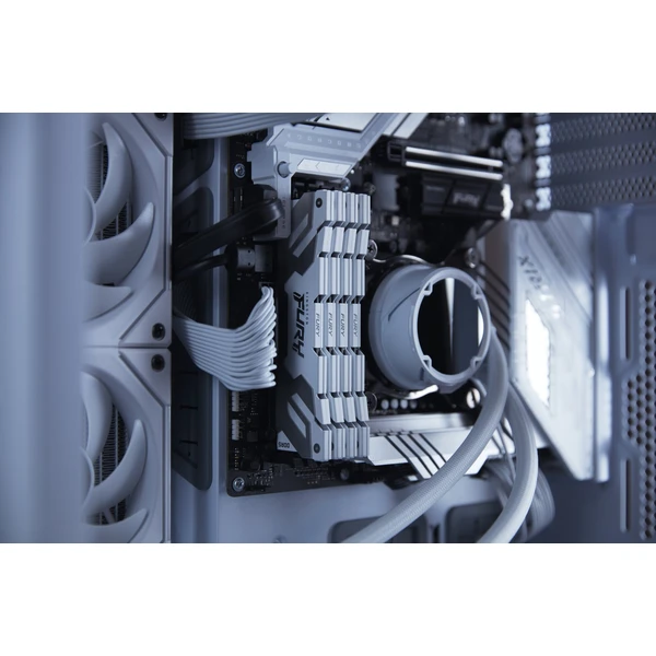 Kingston FURY Renegade White DDR5 16GB 6400MT/s  CL32 DIMM (1x16GB) XMP - Operační paměti - Obrázek 25YN100501