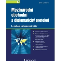 Mezinárodní obchodní a diplomatický protokol - E-kniha