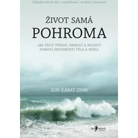 Život samá pohroma - E-kniha