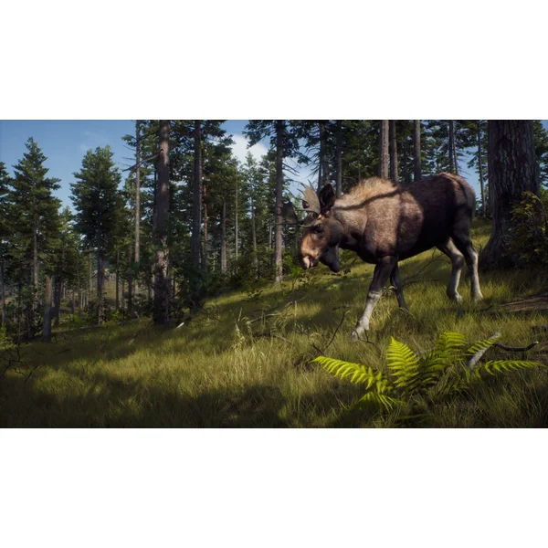 Way of the Hunter (Xbox Series X) - Hry pro Xbox One - Obrázek 26PB100501