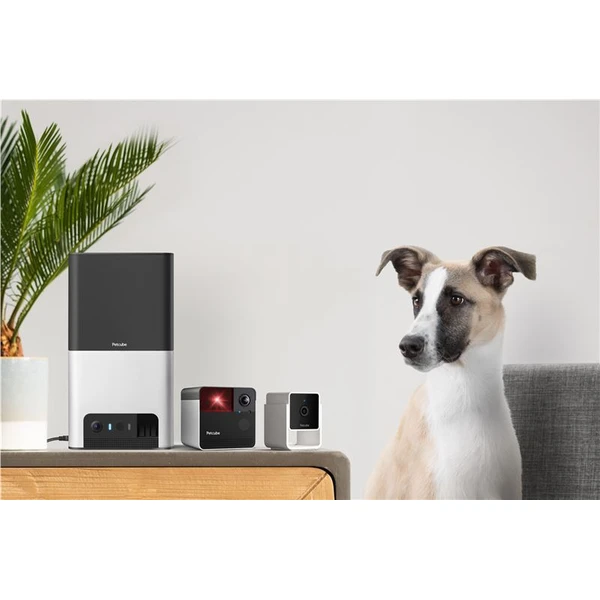 PetCube Cam bezpečnostní kamera - Kamery - Obrázek 26T5000J01