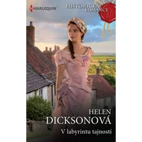 V labyrintu tajností - E-kniha