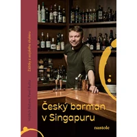Český barman v Singapuru - E-kniha