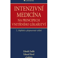 Intenzivní medicína na principech vnitřního lékařství - E-kniha