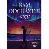 Kam odcházejí sny - E-kniha