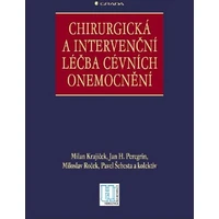 Chirurgická a intervenční léčba cévních onemocnění - E-kniha