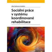 Sociální práce v systému koordinované rehabilitace - E-kniha