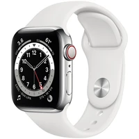 Apple Watch Series 6 Cellular 40mm ocel - Chytré hodinky