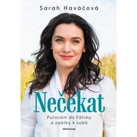 Nečekat - E-kniha