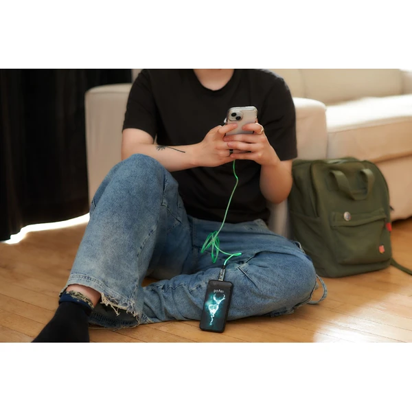 Lazerbuilt svítící powerbanka Harry Potter - Patronus 10000 mAh - Powerbanky - Obrázek 2A7H000K01