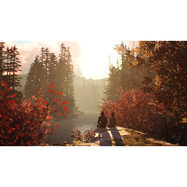 Life is Strange 2 (PS4) - Hry pro PS4 - Obrázek 2EA5100201