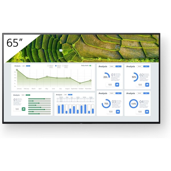Sony BZ30L FW-65BZ30L  Černá