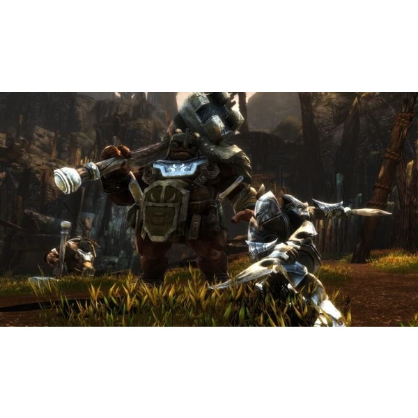 Kingdoms of Amalur: Re-Reckoning (SWITCH) - Hry pro Nintendo Switch - Obrázek 2LEO600301