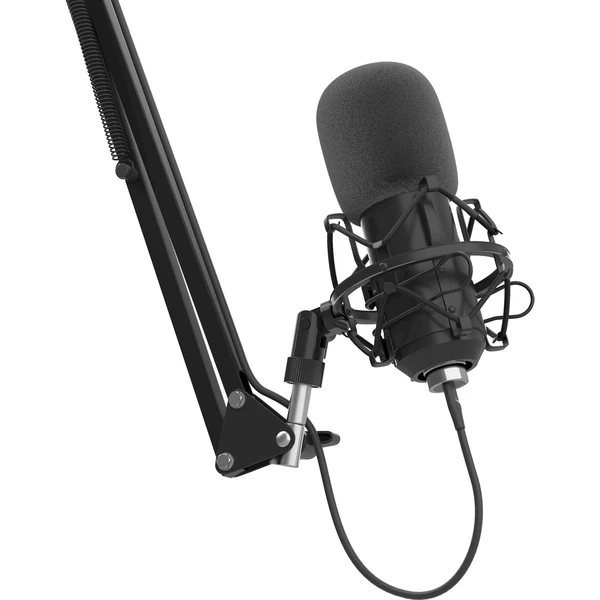 Genesis Radium 400 G2 Studio mikrofon - Mikrofony - Obrázek 2PBE000K01