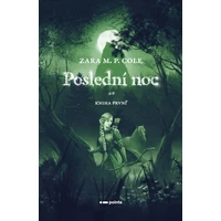 Poslední noc - E-kniha