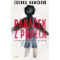 Panáček z popela - E-kniha
