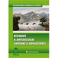 Rizikové a antisociální chování v adolescenci - E-kniha