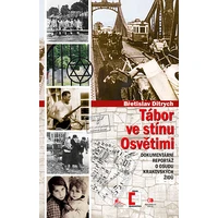 Tábor ve stínu Osvětimi - E-kniha