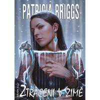 Ztraceni v zimě - E-kniha