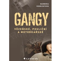 Gangy - E-kniha