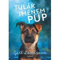 Tulák jménem Pup - E-kniha