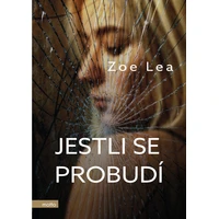 Jestli se probudí - E-kniha