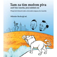 Tam za tím mořem piva aneb Naše Amerika, jak ji málokdo zná. Příspěvek k historii české a slovenské  - E-kniha