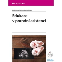 Edukace v porodní asistenci - E-kniha