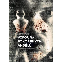 Vzpoura pokořených andělů - E-kniha