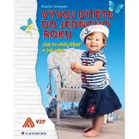 Vývoj dítěte do jednoho roku - E-kniha