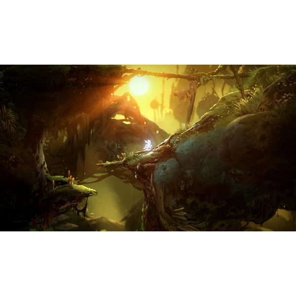Ori and the Will of the Wisps (PC/Xbox One) - Digitální hry pro Xbox One - Obrázek 31IB300401