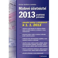 Mzdové účetnictví 2013 - E-kniha