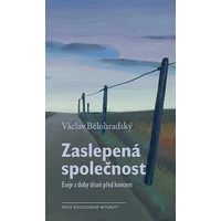 Zaslepená společnost - E-kniha