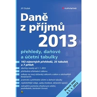 Daně z příjmů 2013 - E-kniha
