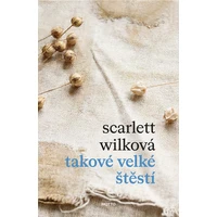 Takové velké štěstí - E-kniha