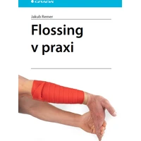 Flossing v praxi - E-kniha