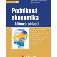 Podniková ekonomika - klíčové oblasti - E-kniha