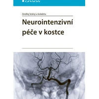 Neurointenzivní péče v kostce - E-kniha