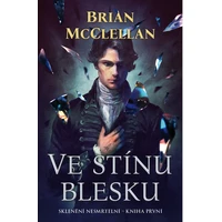 Ve stínu blesku - E-kniha