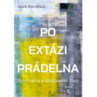 Po extázi prádelna - E-kniha