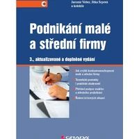 Podnikání malé a střední firmy - E-kniha