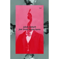 Jiné životy Hynka Harra - E-kniha